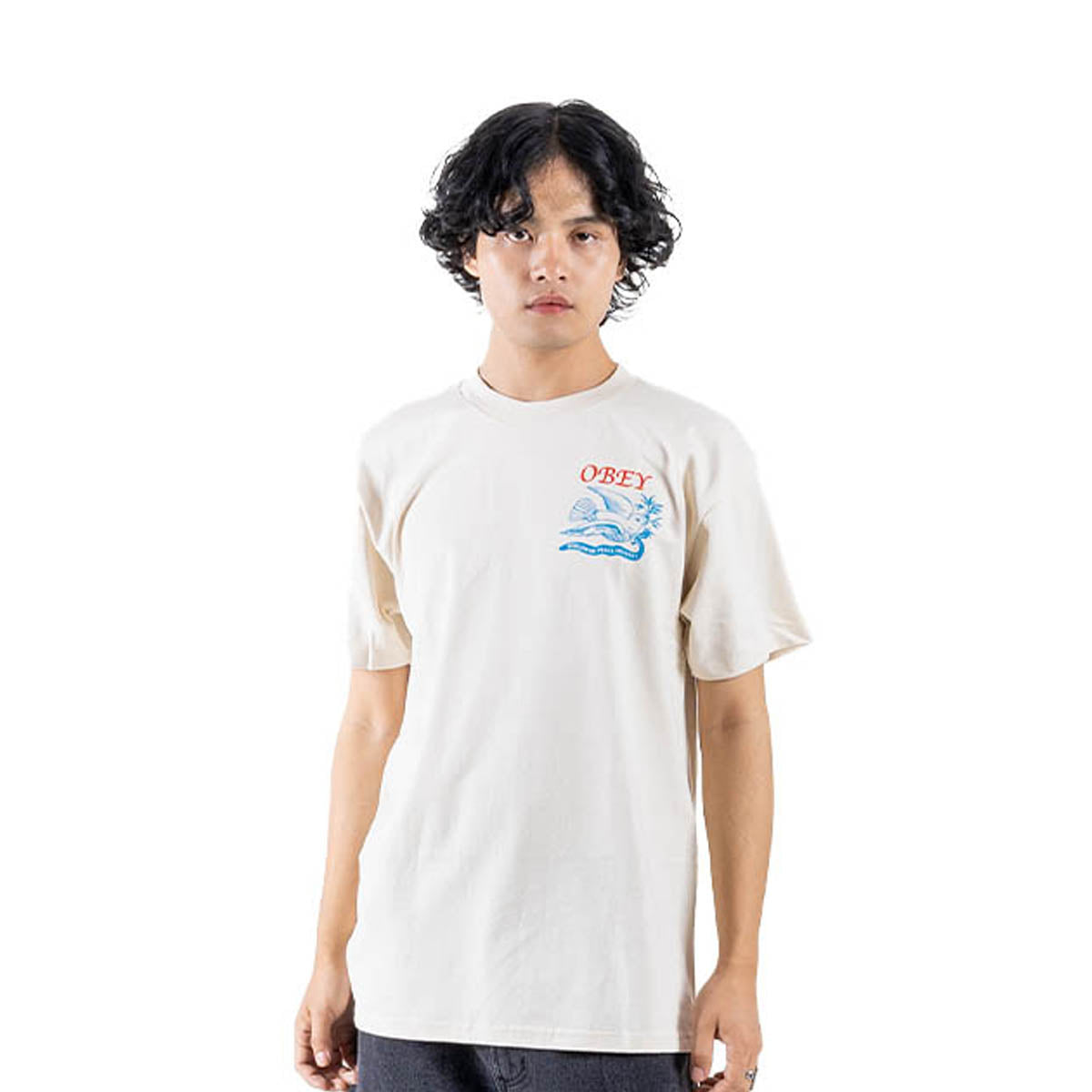 PEACE DELIVERY DOVE TEE 'CREAM'