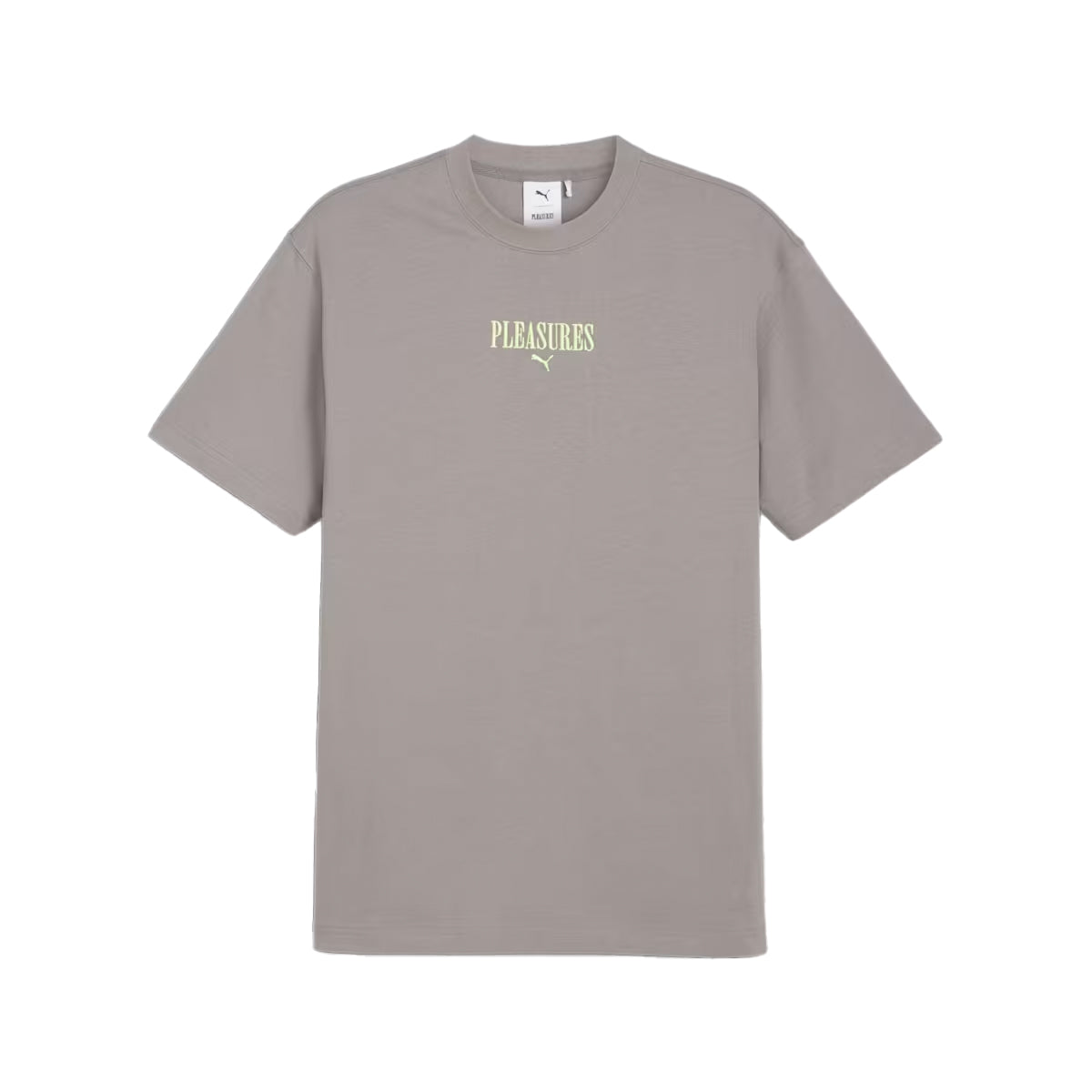 Pleasures Graphic T-shirt 'Slate'