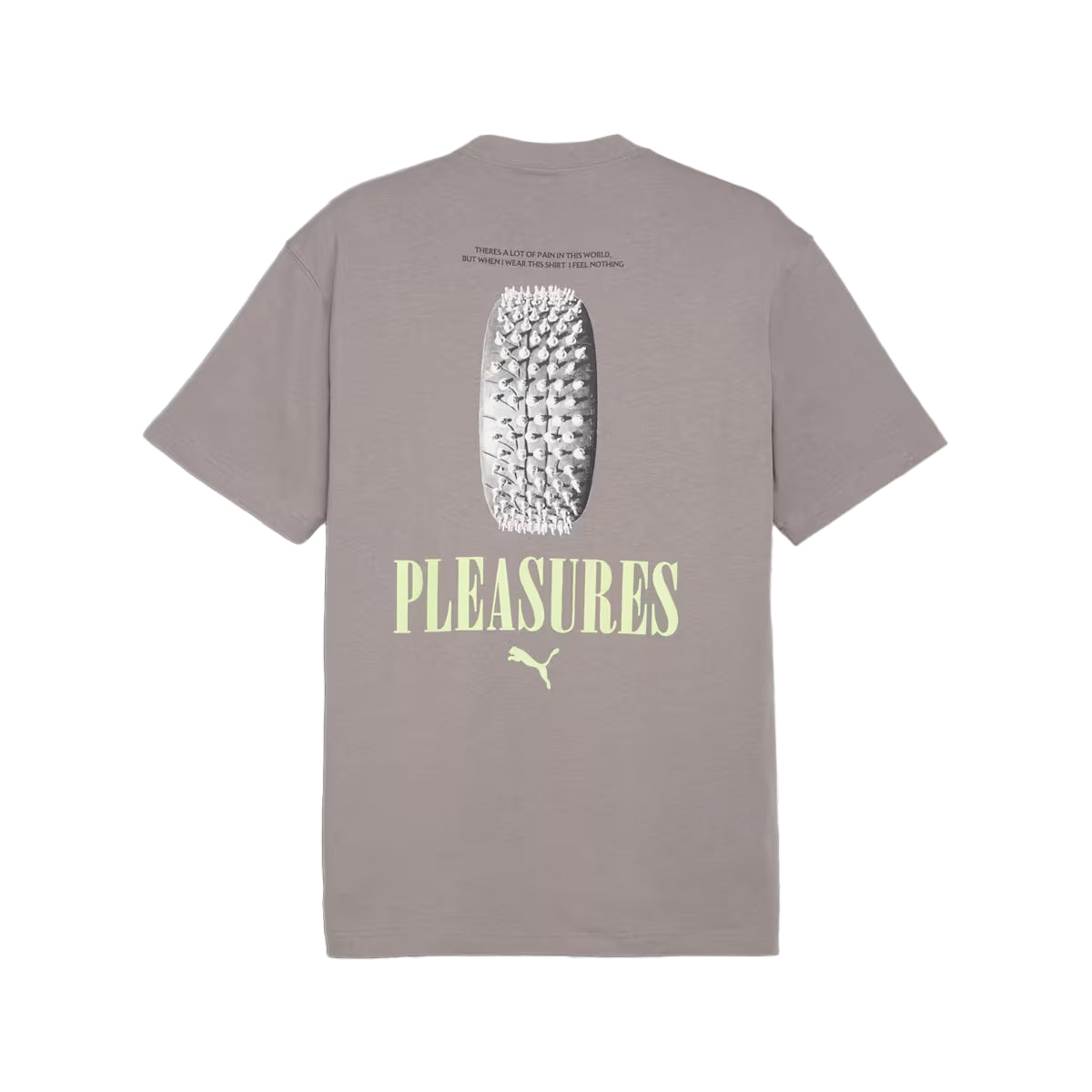 Pleasures Graphic T-shirt 'Slate'