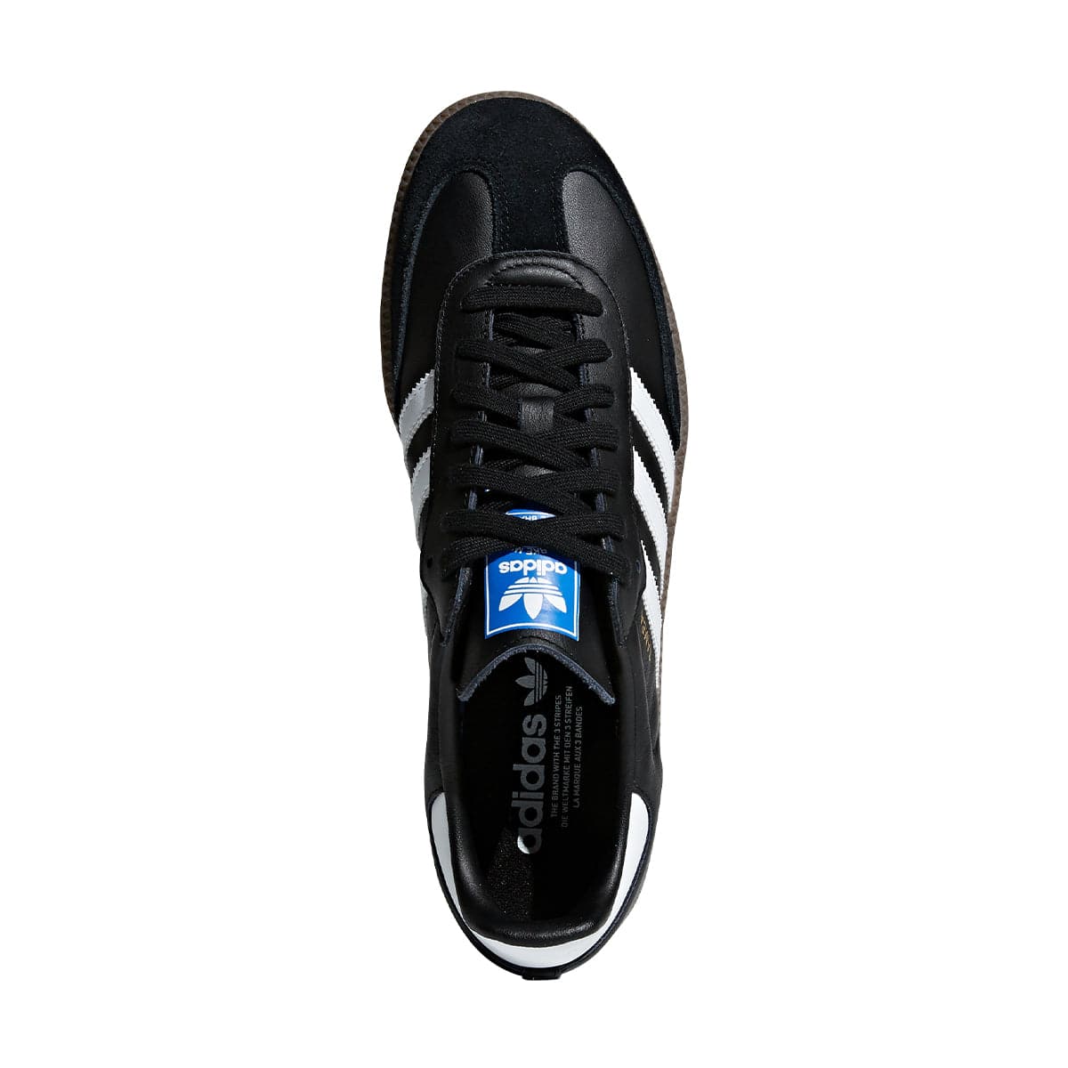 Samba OG 'Black Gum' - Limitededt India