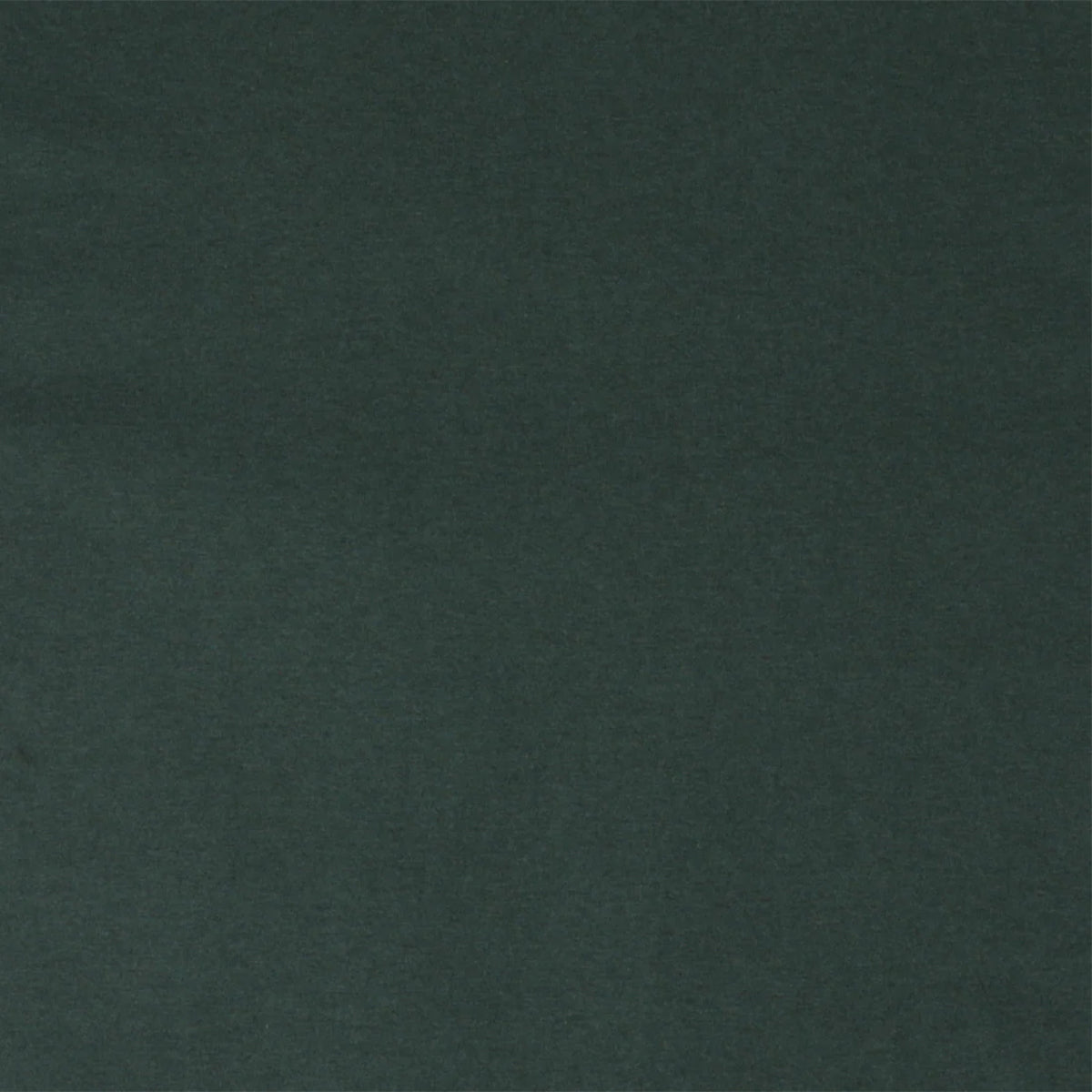 Wool Classic SS Tee 'Green'