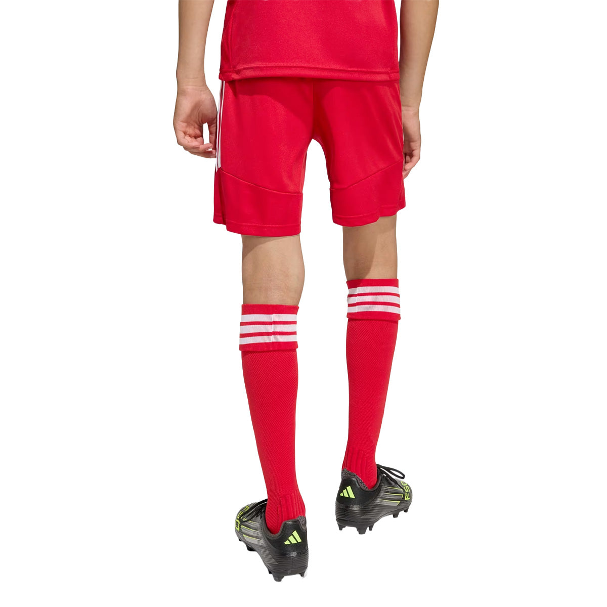 Tiro 26 League Kids Shorts 'Team Power Red 2 / White'