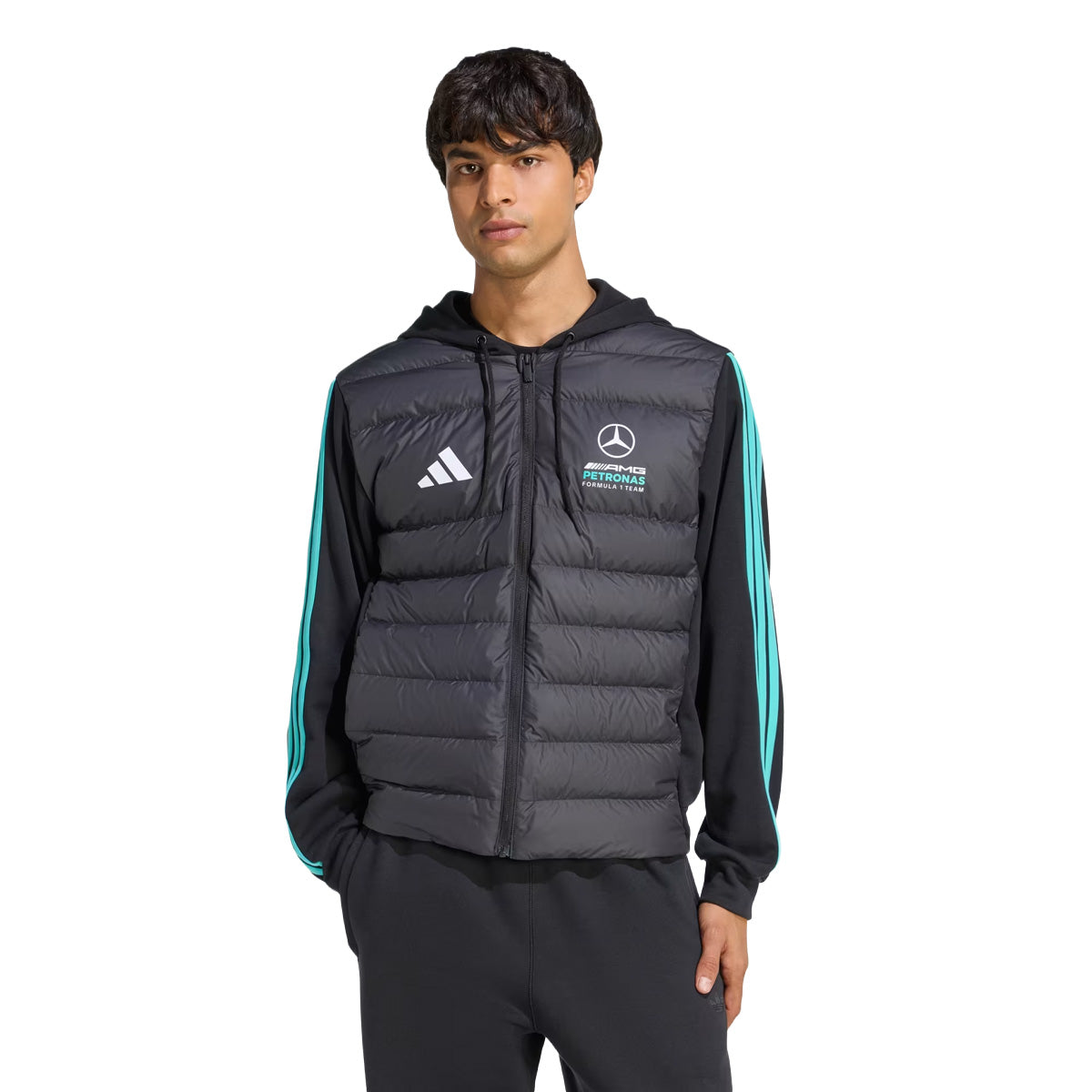 '+ MERCEDES - AMG PETRONAS FORMULA 1 TEAM DNA PUFFER JACKET
