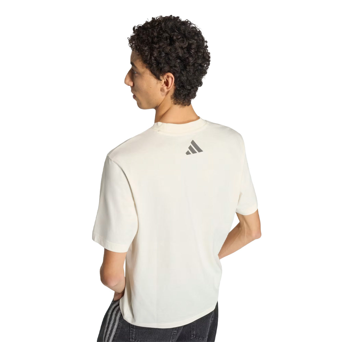 + MERCEDES - AMG PETRONAS FORMULA 1 TEAM SILVER ARROWS TEE 'Off White / Granite'