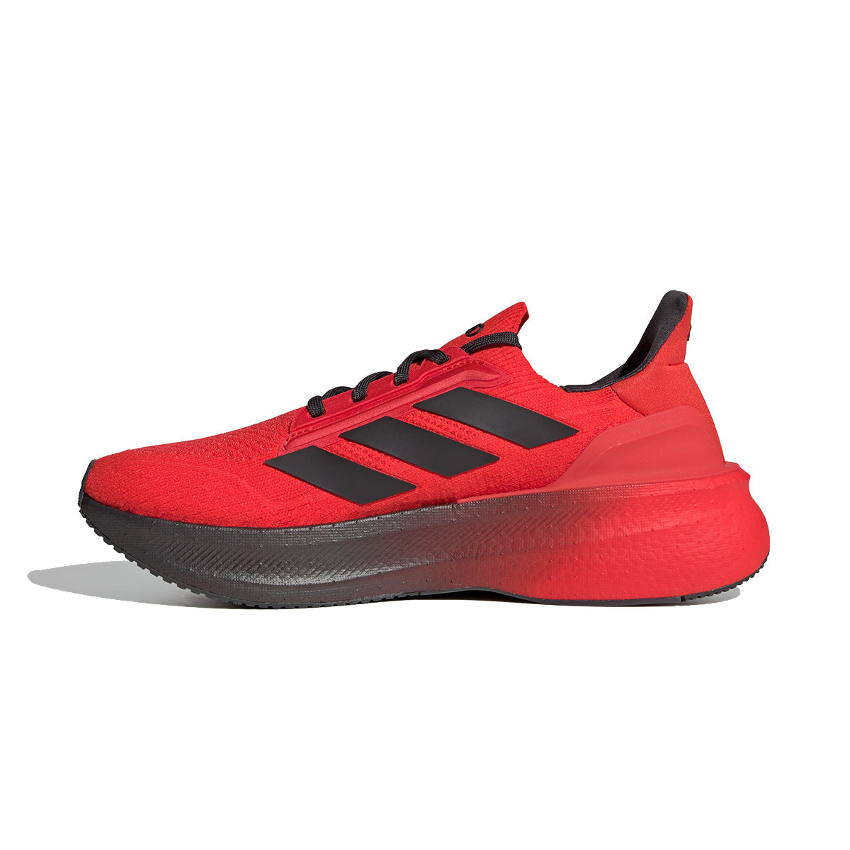 ULTRABOOST 5 AUDI REVOLUT F1