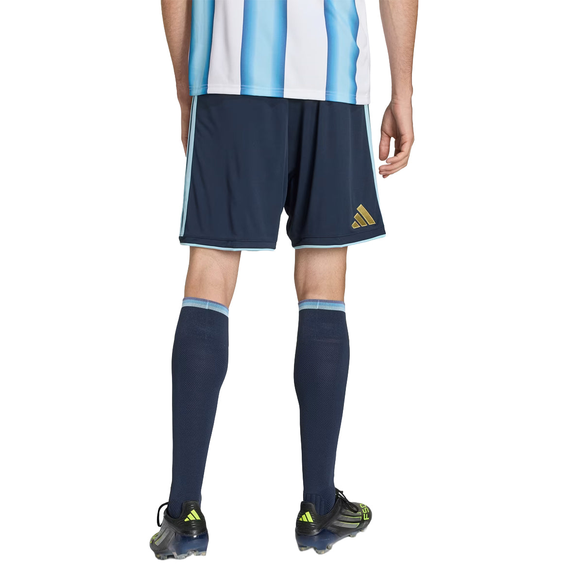 Argentina 26 Home Shorts 'NIGHT NAVY'