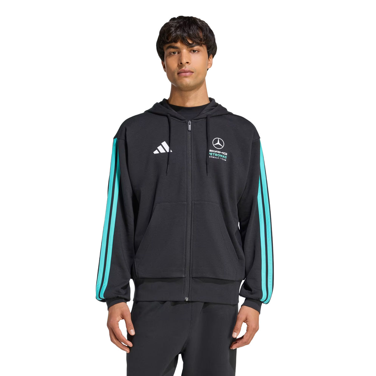 '+ MERCEDES - AMG PETRONAS FORMULA 1 TEAM DNA FULL ZIP HOODY 'Black / Semi Mint Rush'