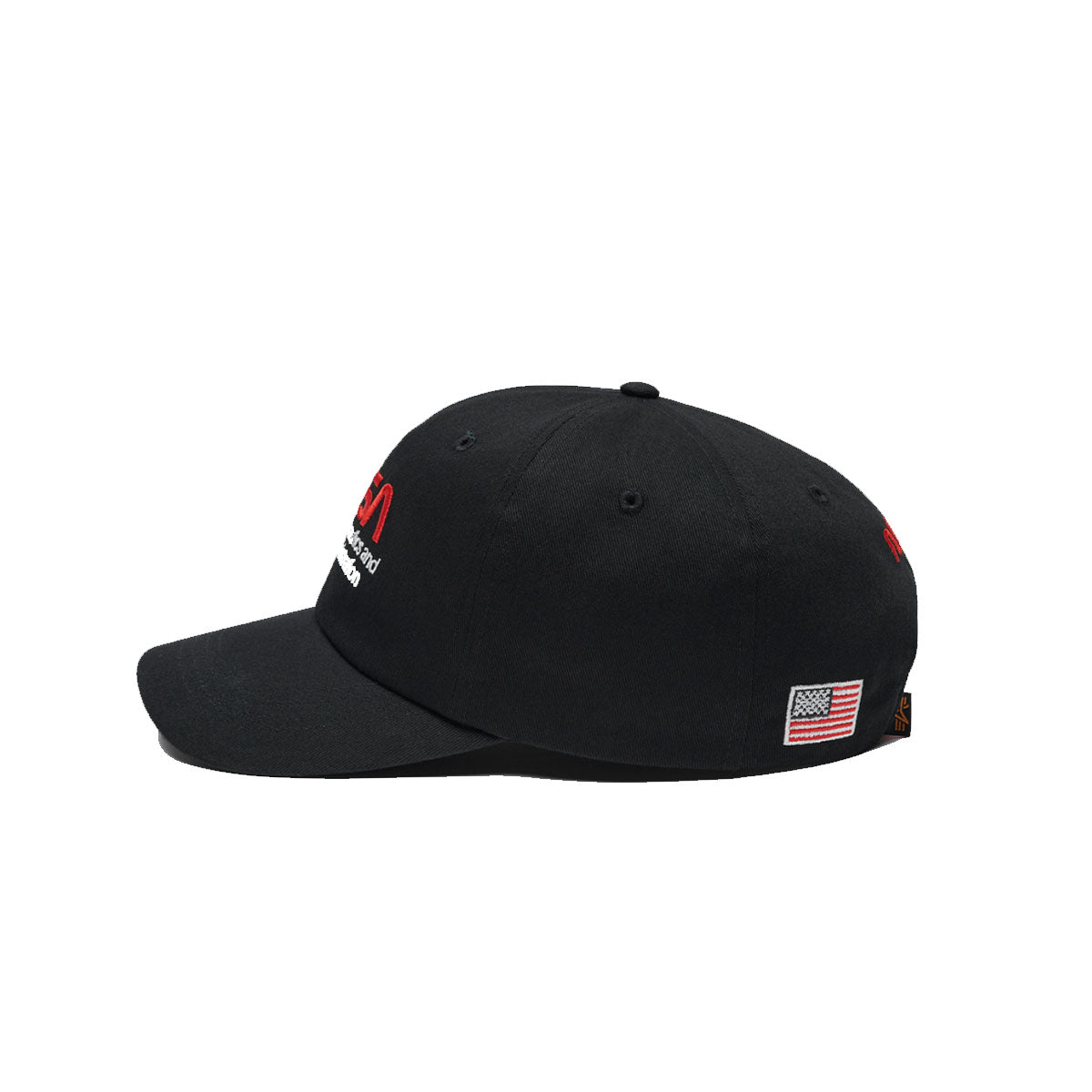 NASA WORM LOGO CAP