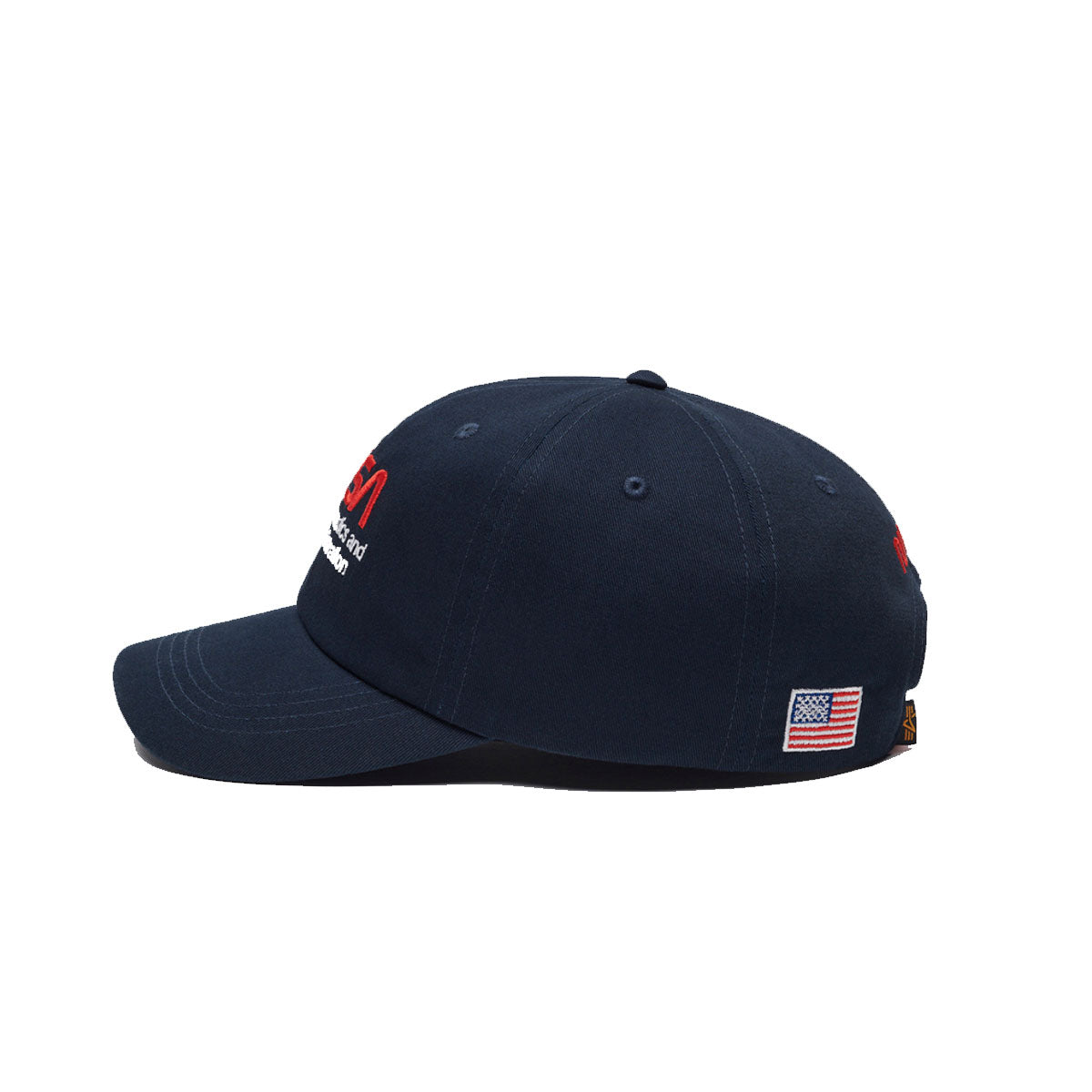 NASA WORM LOGO CAP